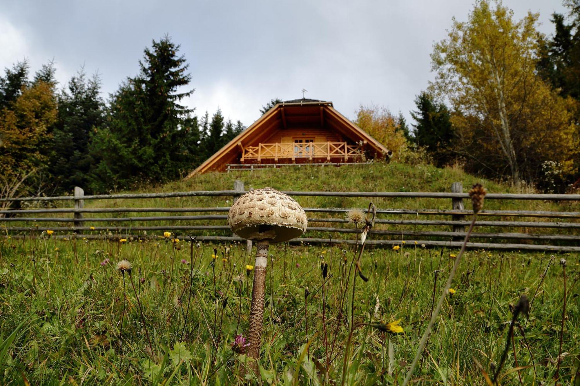 Charming Chalet Rogla Hudinja Bagian luar foto